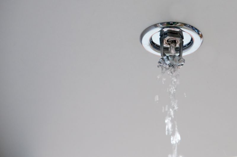 Type of Sprinkler System